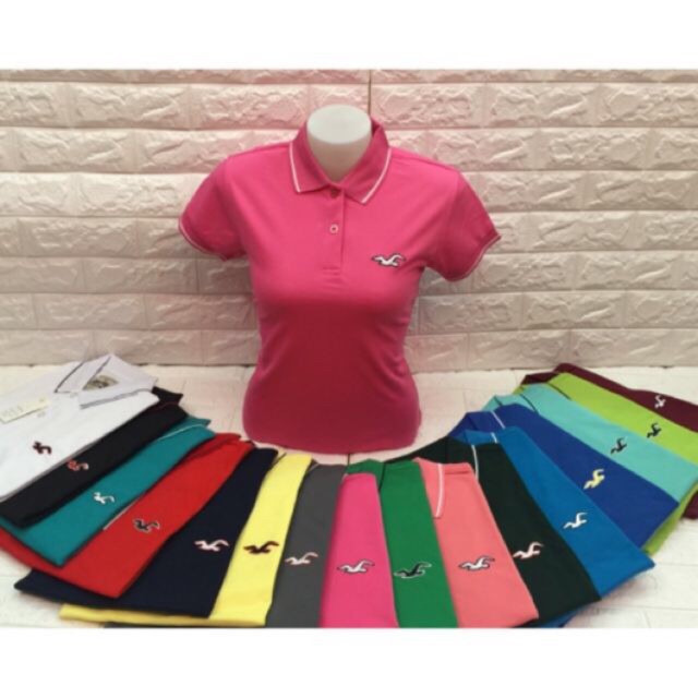 hollister ladies polo shirts