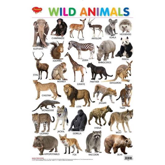 A4 ANIMALS LAMINATED WALL CHART FOR KIDS | Shopee Philippines