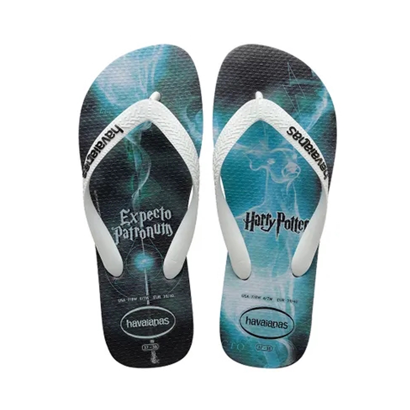 2019 havaianas