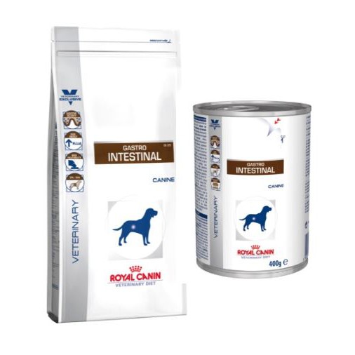 gastro intestinal royal canin cat