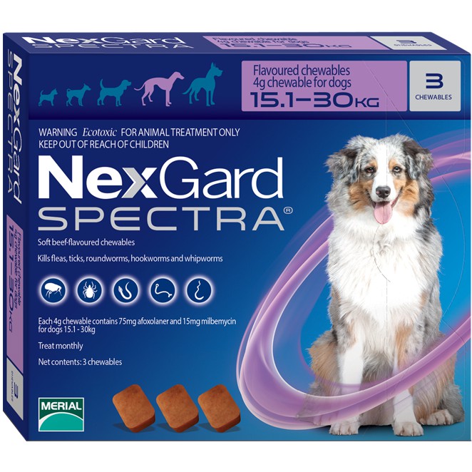 nexgard flea tick and heartworm