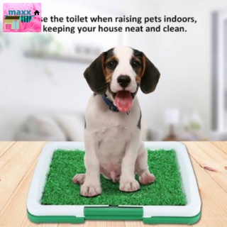 Puppy Potty Pad Perfect Pets Indoor Dog Toilet Training