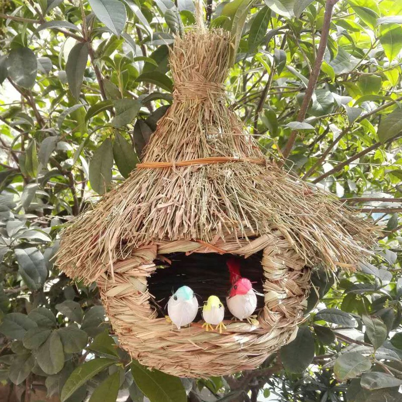 bird nest supplies
