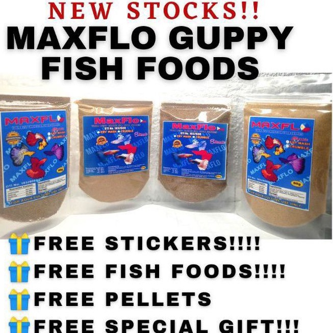 Maxflo guppy Fish Food Crumble and Fry Mash/betta fish food/probiotics with freebies #2