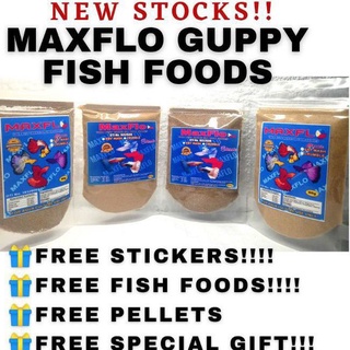 Maxflo guppy Fish Food Crumble and Fry Mash/betta fish food/probiotics with freebies #2