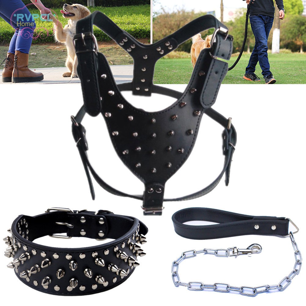 dog collars and leash sets