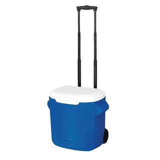 coleman 16 quart cooler