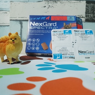 NexGard Spectra Chewable for Dogs 30-60 Kgs 1 Tablet