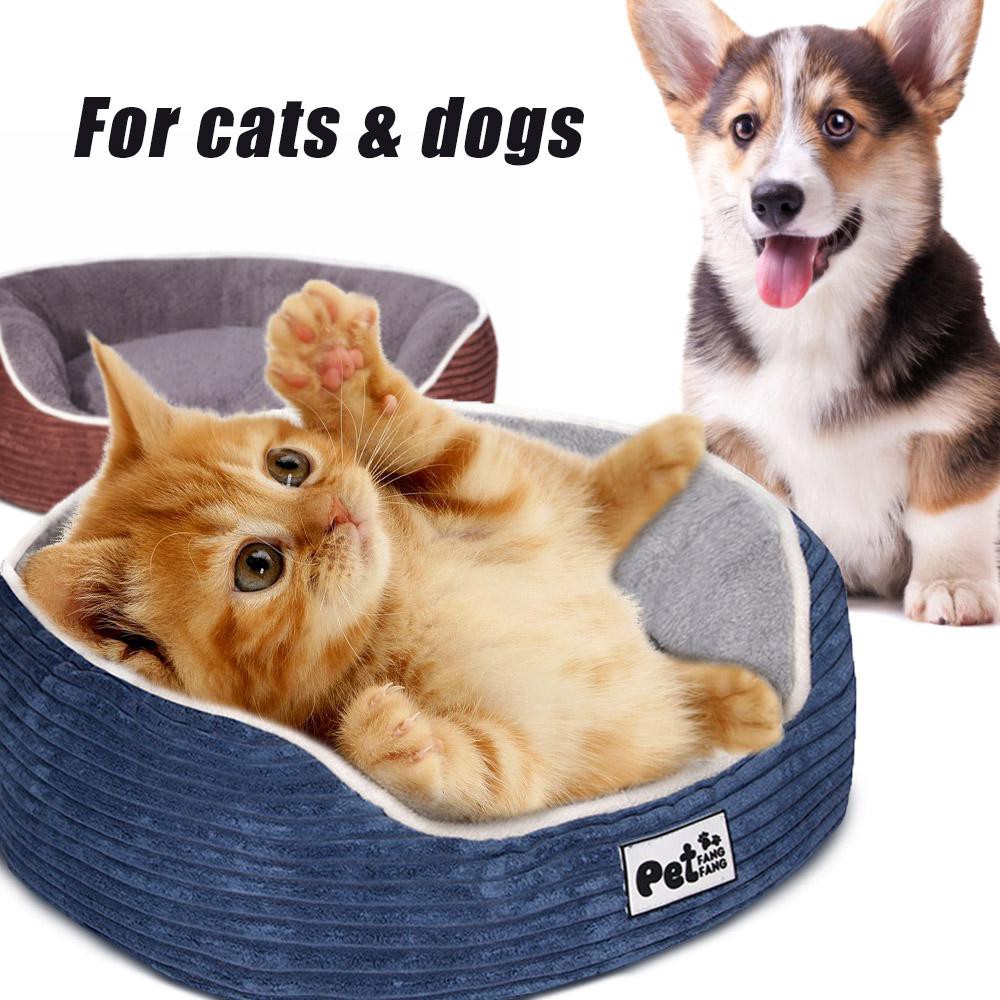 Best Sofa Material For Dogs And Cats Baci Living Room