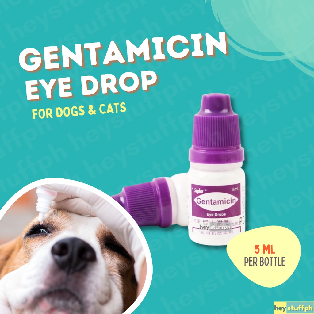 Sinphar Gentamicin Eye Drops for Pets 5ml Shopee Philippines