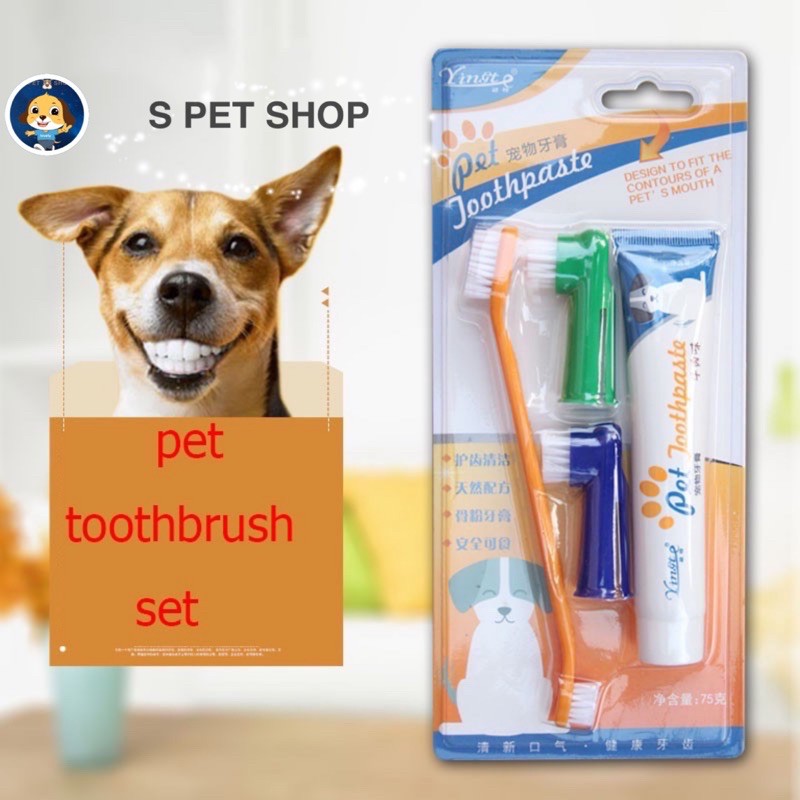 Pet toothpaste/dogtoothpaste | Shopee Philippines