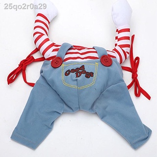 Dog clothes vibrato with the same paragraph with a knife, street fashion makeover, funny funny cat #3