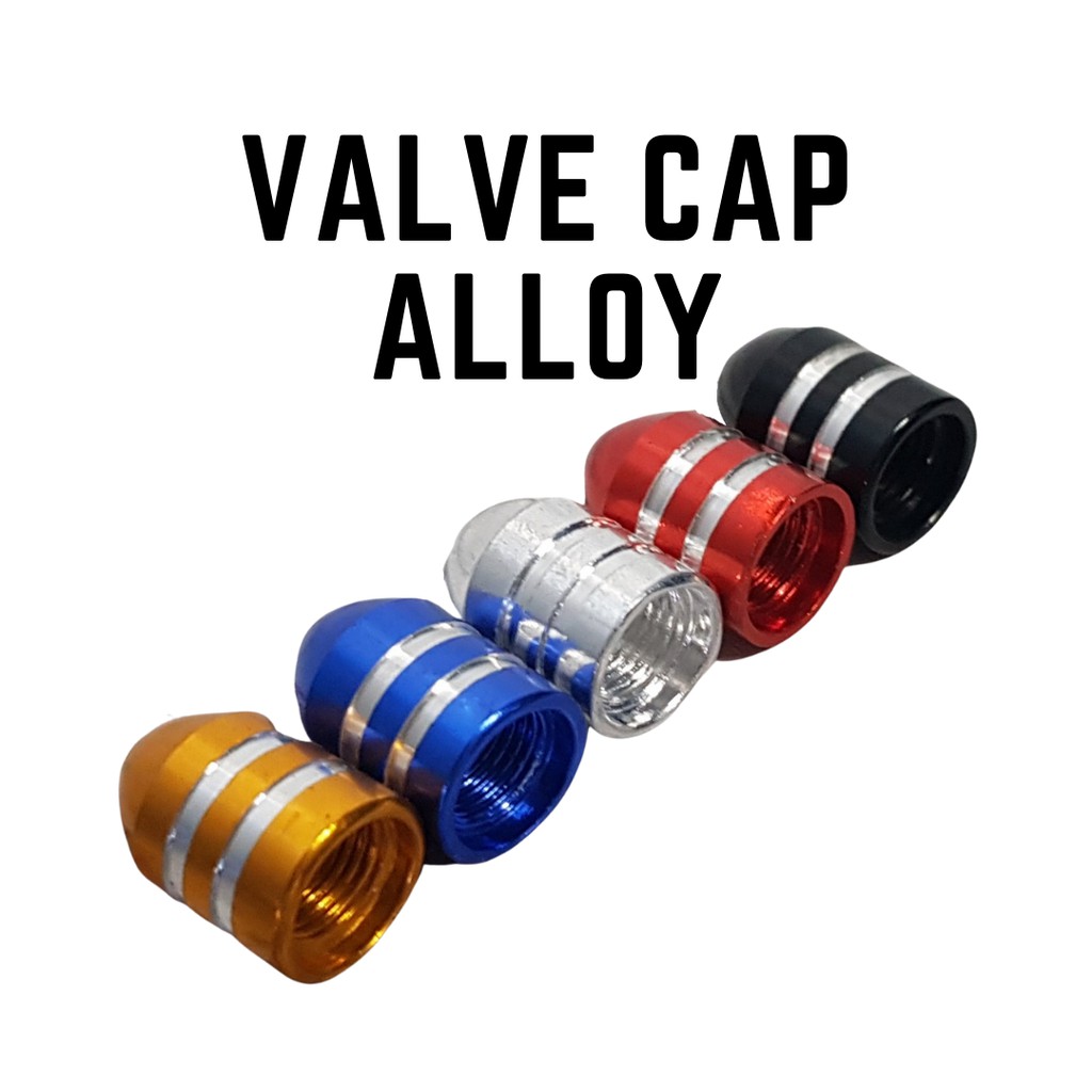 Details about   Alloy Tire valve cap 2 seO5O8 bicycle motorcycles and car with Schrader valve 