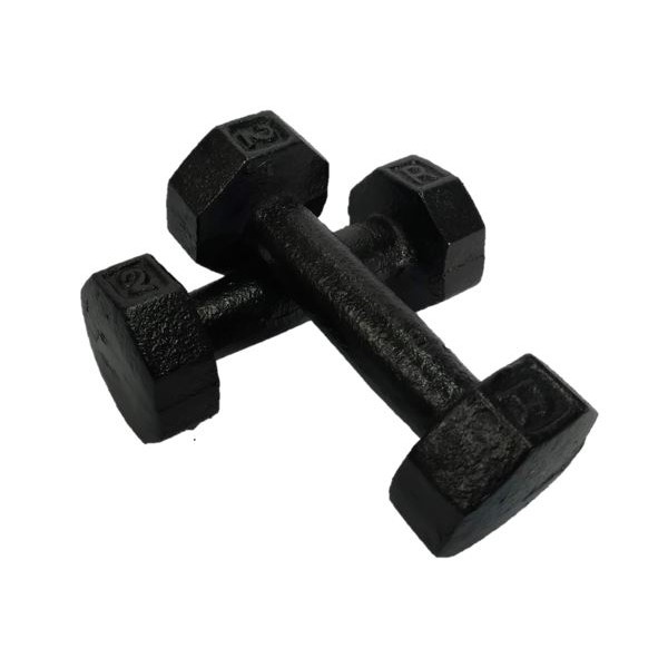 dumbbell for gym price