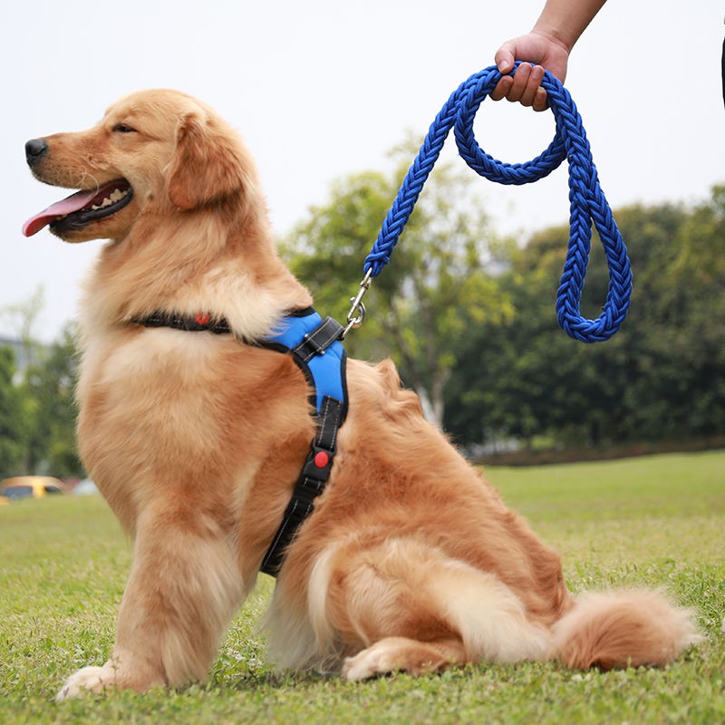 Dog Leash 1.5m Adjustable Safe Lead Harness Pet back and chest traction ...