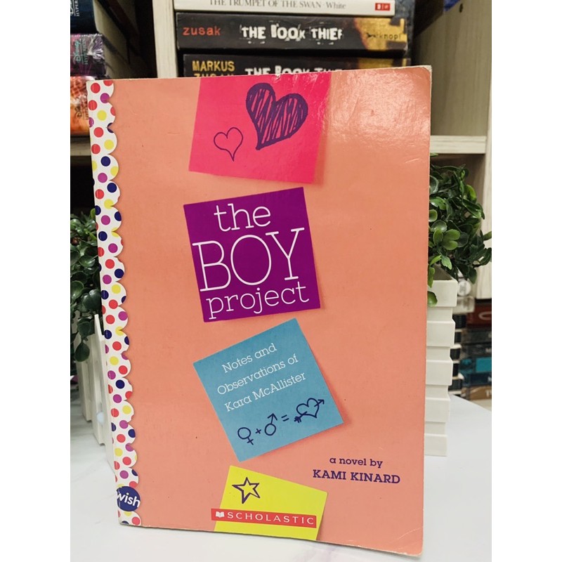The boy project book