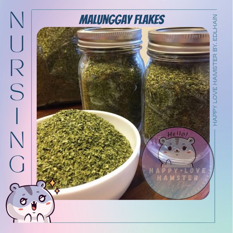 HLHE Malunggay Flakes & Malunggay Powder Trial pack #1