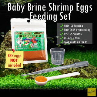 BABY BRINE SHRIMP EGGS Feeding Set BBS Artemia Cysts for fish food Dropper Scooper Beaker Greensect