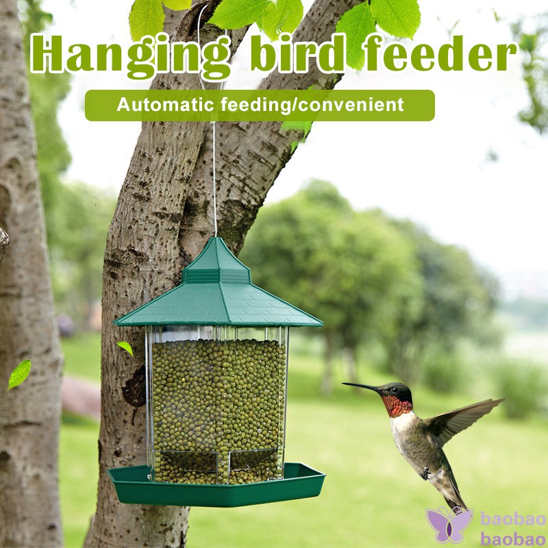 automatic wild bird feeder