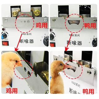 Full-Automatic Mouth Cutting Machines Small Chicken, Duck and Goose Poultry Debeaker Poultry Mouth B #9