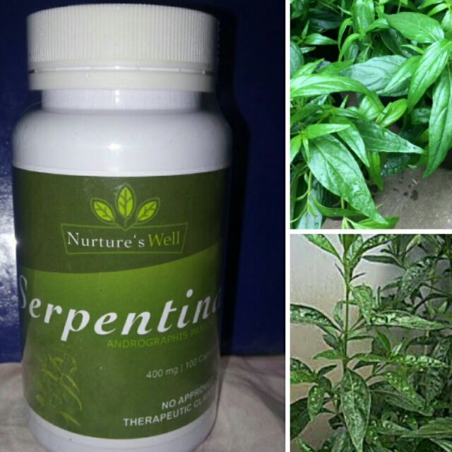 Serpentina leaves organic 100 authentic sepentina.new ...