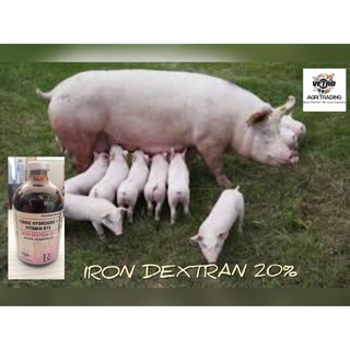 POWER Iron Dextran 20% + Vitamin B12! 100ML/ For Animals/ ( Tipid ka Dito)