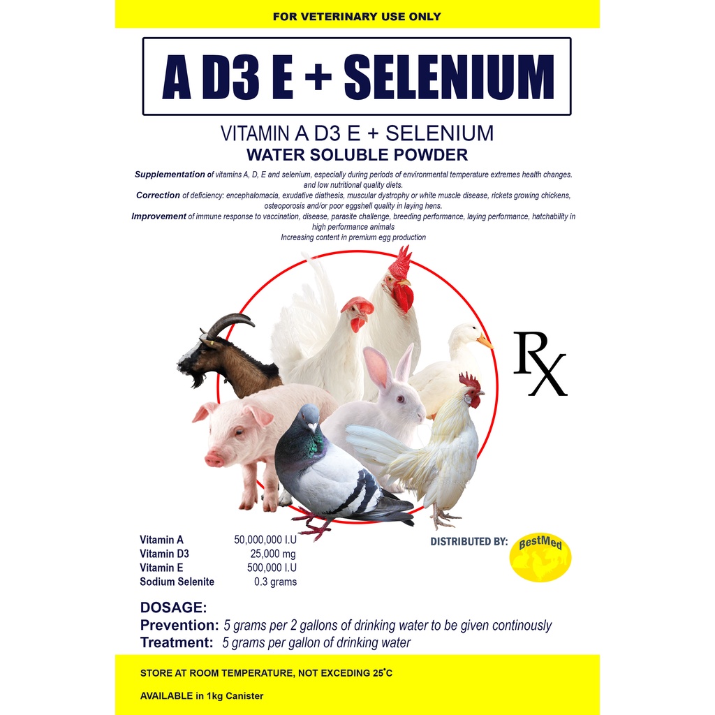 Is Selenium Good For Calves? – White muscle disease in cattle is caused ...