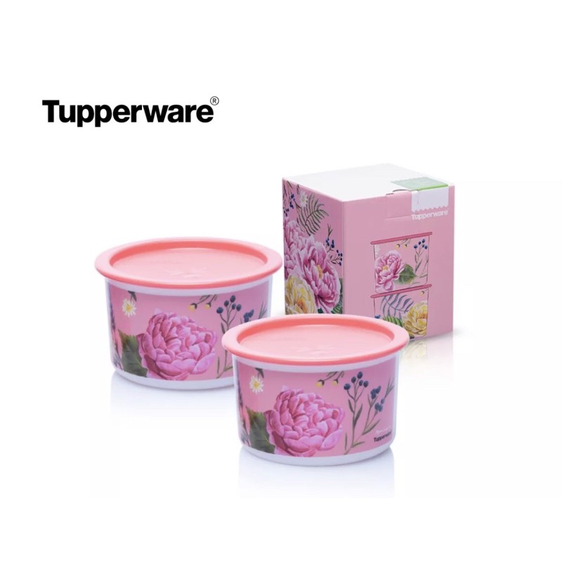 Tupperware One Touch Canister Limited Edition (2 pcs) Shopee Philippines