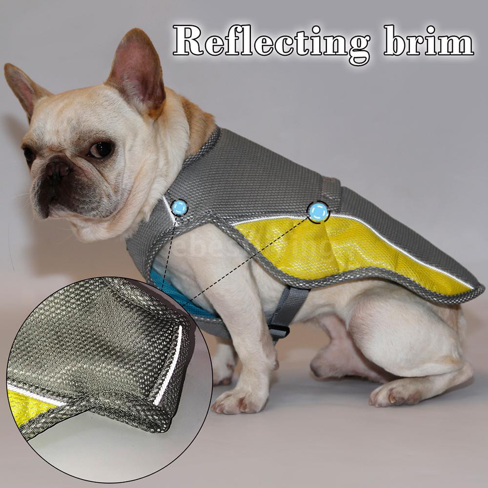 cooling jacket for french bulldog