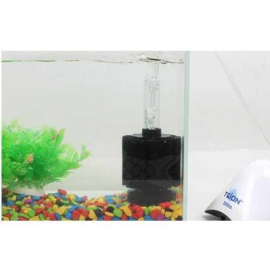 do french bulldogs shed