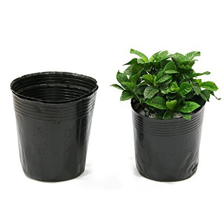 1Pack 100pcs Plants Bag Plastic Seedling Bags Gardening 1Pack 100pcs Plants Bag Plastic Seedling Bags Gardening