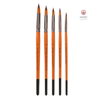 Study&W Professional Paint Brushes Set 5pcs Artist Paintbrush Nylon Hair Wooden Handle for Acrylic Oil Watercolor Gouache Nail Face Art Craft Painting, Angular Tip #3