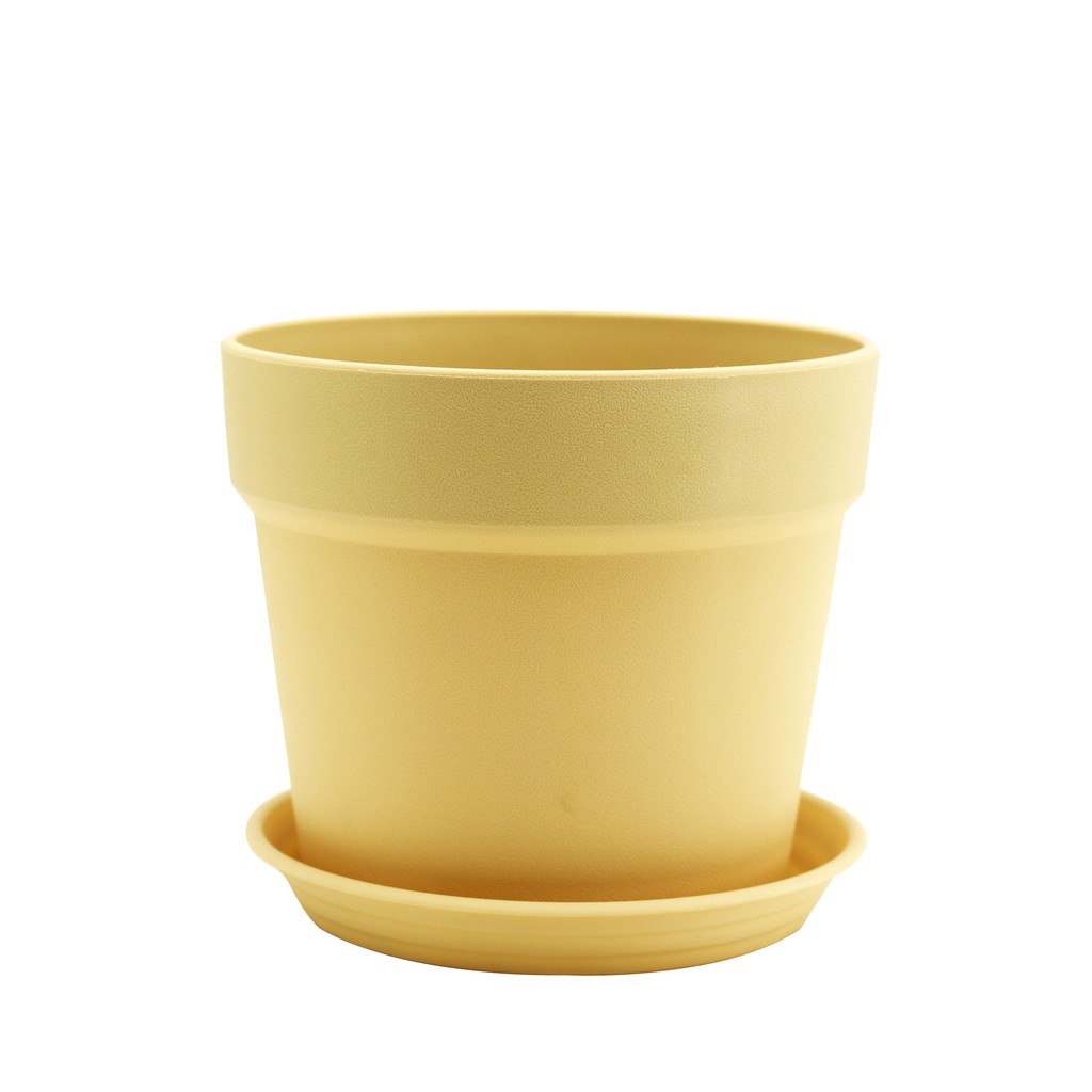 Grand Living Plant Pots with Saucers 8 Inches Plastic Colored, Root