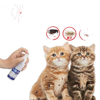 ✺❃Cat anthelmintic in vitro insecticide insect repellent spray household addition to fleas, lice, ti