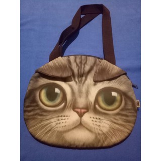 preloved british shorthair