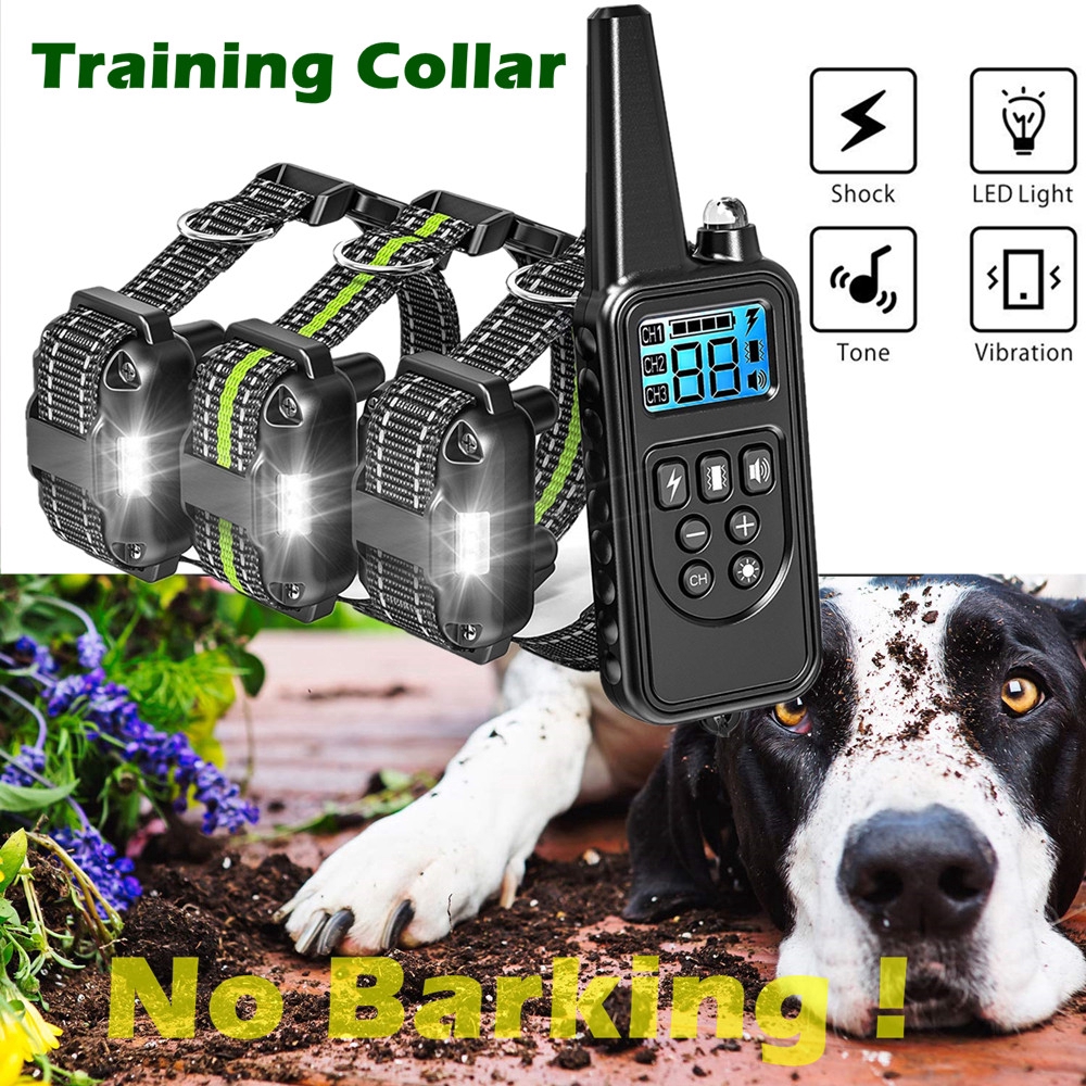remote controlled shock collar for dogs