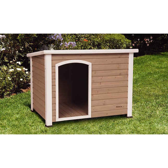 dog house