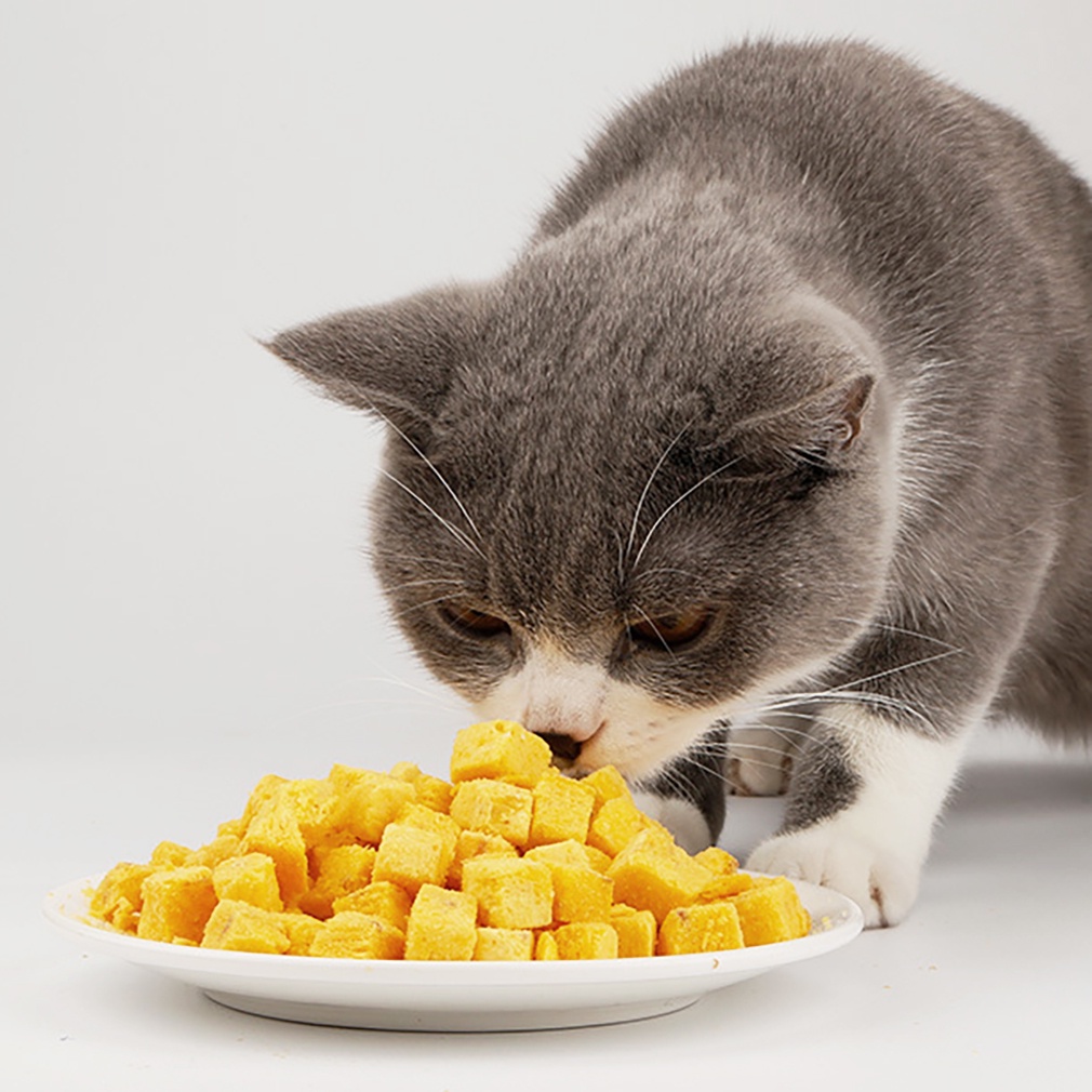 Health Freeze dried Pet Snacks Freeze dried Egg Yolk Cat Dog