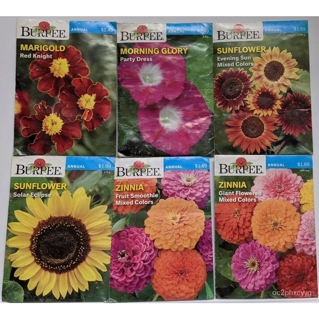 flower seeds Burpee Assorted Flower Seeds v4.0 Six Pack Selection (2020 ...