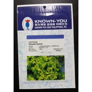 LETTUCE GRAND RAPID SEEDS BY KNOWN YOU 10 GRAMS #3