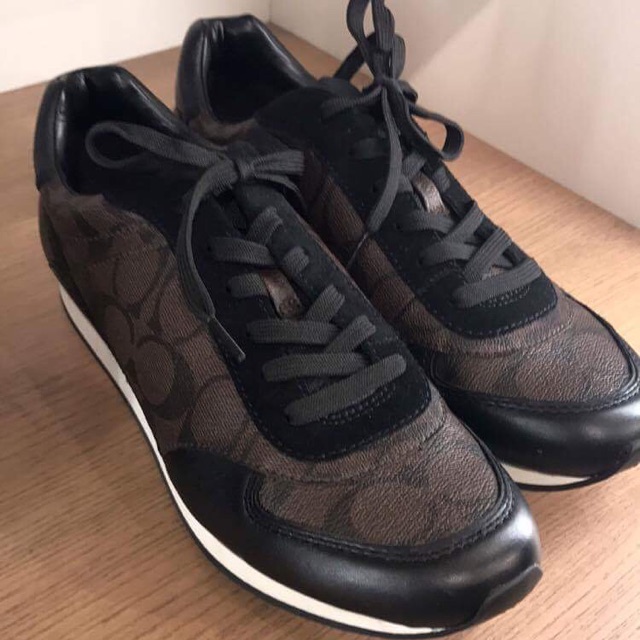 coach rebecca sneakers