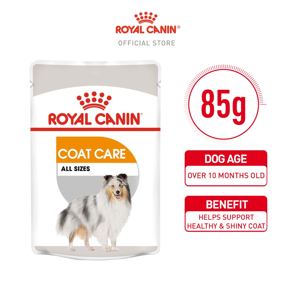 Royal Canin Coat Care Adult Wet Dog Food (85g) - Canine Care Nutrition |  Shopee Philippines