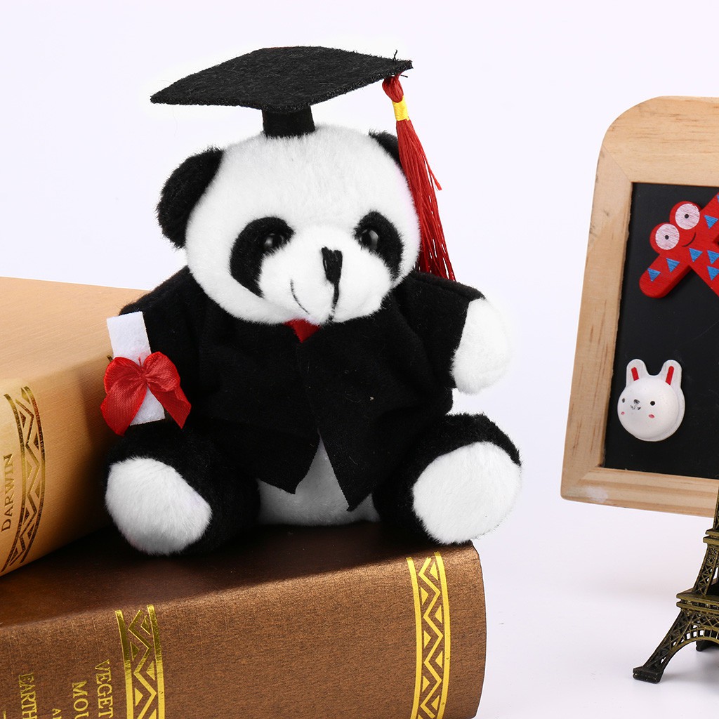 graduation teddy bear 2019