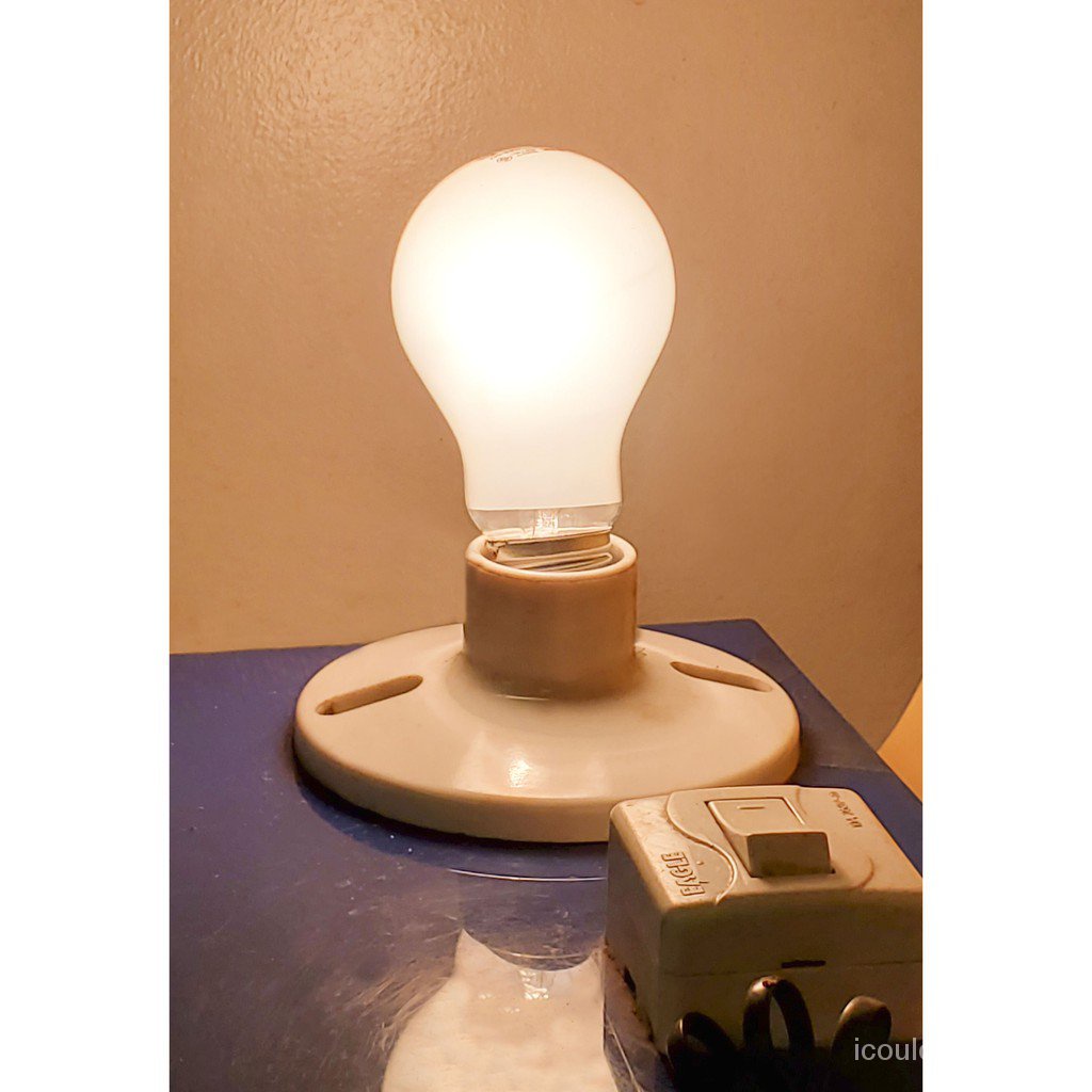 OMNI Incandescent Light Bulb 50W/ Warm White Sisiw (Chick), Kulig