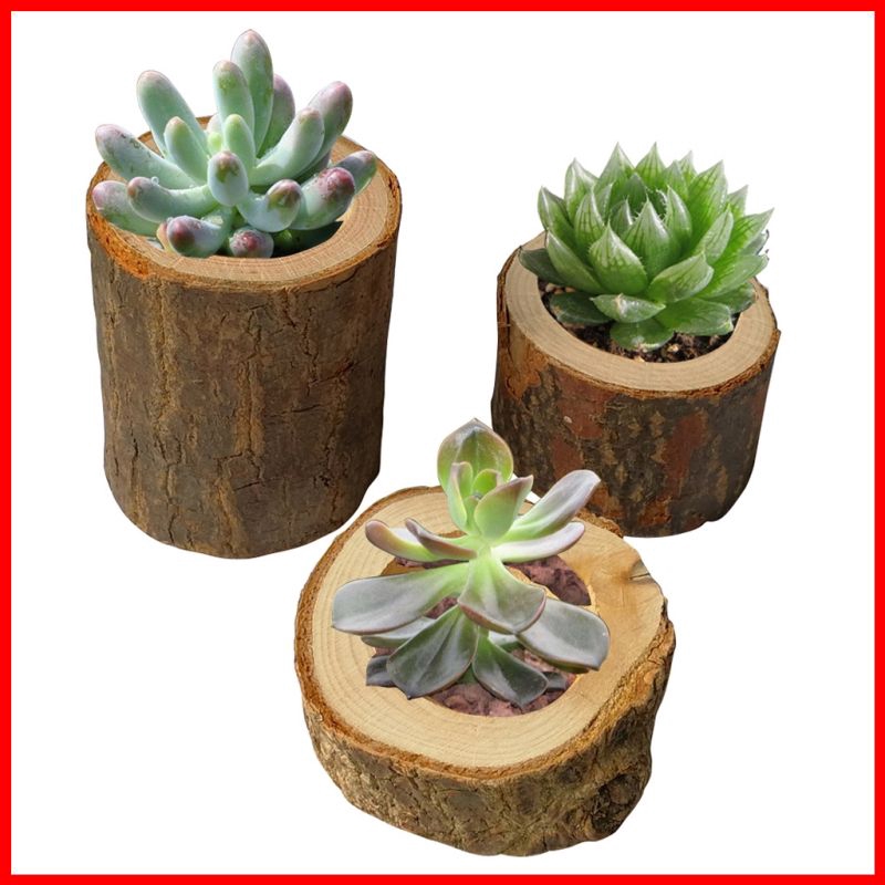 Wooden Crafts Candlestick Small Flower, Small Wooden Flower Pot Design