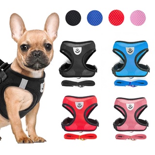 Dog Harness Soft Adjustable Leash for Dog Breathable Polyester Outdoor Cat Rabbit Leash with Harness
