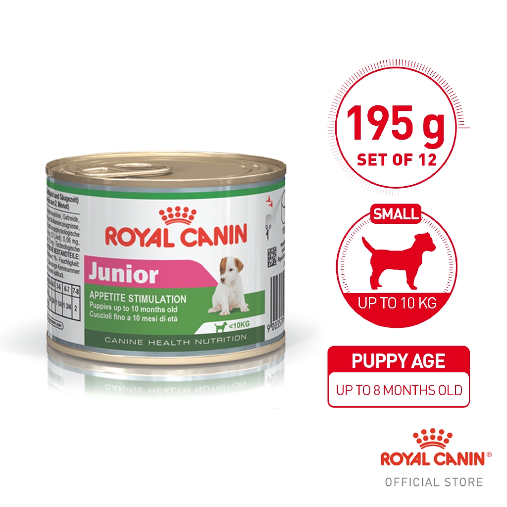 royal canin small dogs