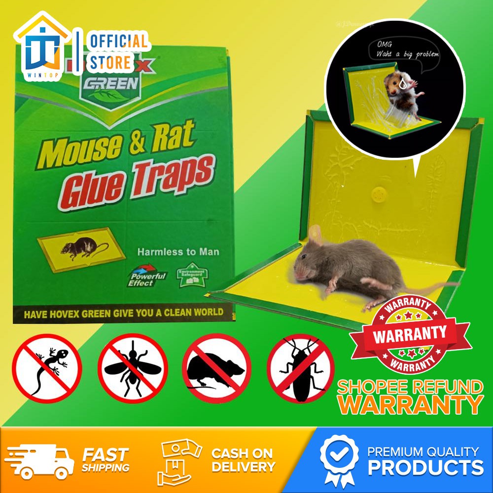 𝐖𝐢𝐧𝐭𝐨𝐩 Hovex Home and Living Mouse Mouse & Rat Glue Traps Pest Control