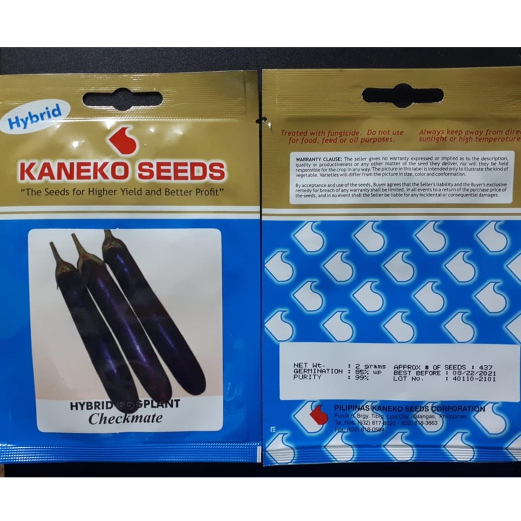 EGGPLANT SEEDS BY KANEKO 7dbC Shopee Philippines