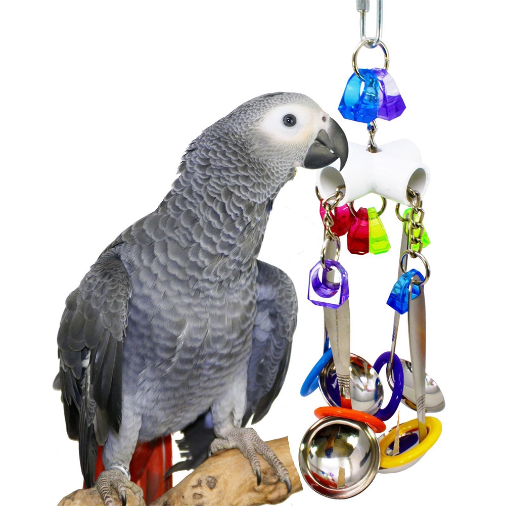 cockatoo supplies